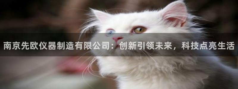 恒行2下74OOO5：南京先欧仪器制造有限公司：创新引领未来