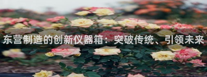 恒行娱乐蒋74OOO5：东营制造的创新仪器箱：突破传统、引领