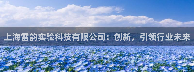 恒行娱乐掏沂74ooo5弛：上海雷韵实验科技有限公司：创新，