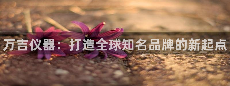 恒行娱乐5ll533主管耐心：万吉仪器：打造全球知名品牌的新