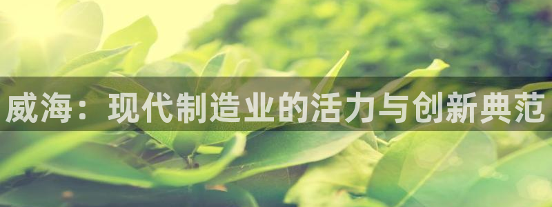 恒行娱乐河沂74ooo5程：威海：现代制造业的活力与创新典范