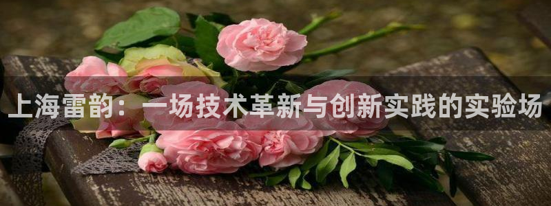 恒行娱乐景74ooo5诿抢：上海雷韵：一场技术革新与创新实践