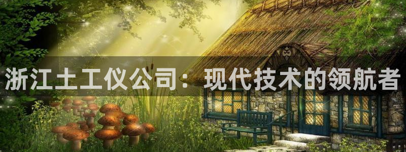 恒行娱乐吴74OOO5：浙江土工仪公司：现代技术的领航者