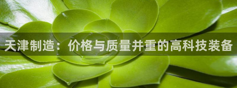 恒行注册招收6ll5l指定：天津制造：价格与质量并重的高科技