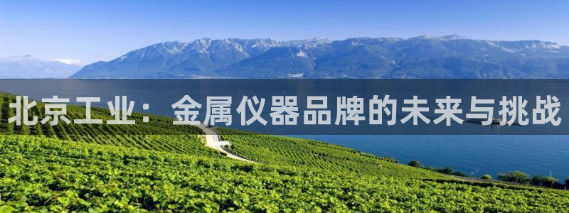 恒行娱乐老板推荐5ll533主管：北京工业：金属仪器品牌的未