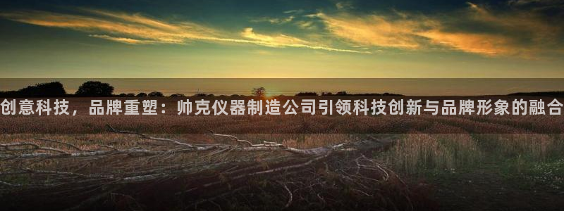 恒行2陈74OOO5：创意科技，品牌重塑：帅克仪器制造公司引