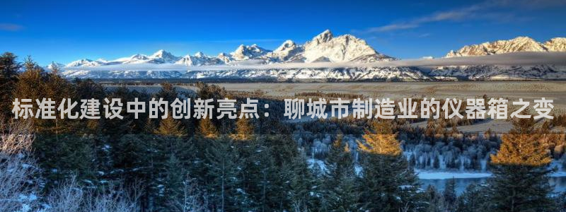 恒行2冯74OOO5：标准化建设中的创新亮点：聊城市制造业的