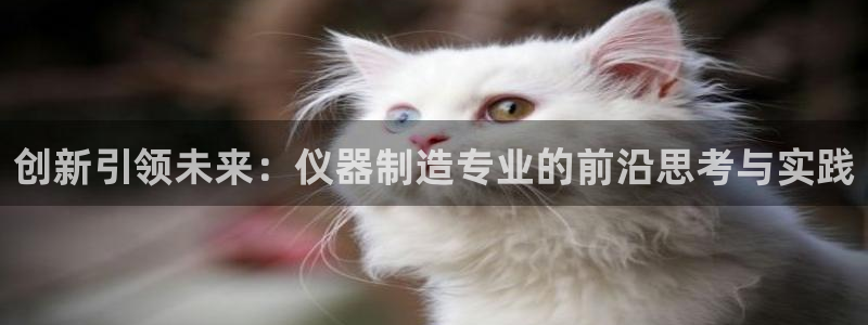 恒行主管6ll5l指定：创新引领未来：仪器制造专业的前沿思考