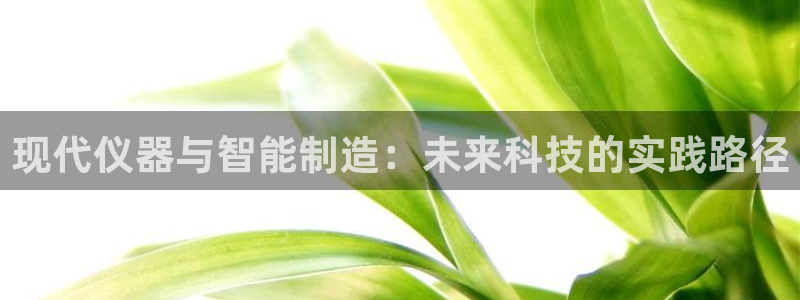 恒行2蒋74OOO5：现代仪器与智能制造：未来科技的实践路径