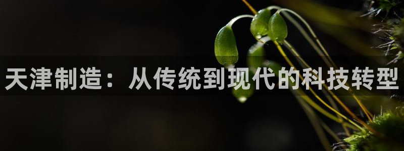 恒行娱乐掏沂74ooo5弛：天津制造：从传统到现代的科技转型
