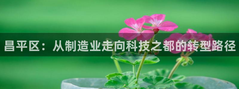 恒行娱乐招收点赞5ll533主管：昌平区：从制造业走向科技之