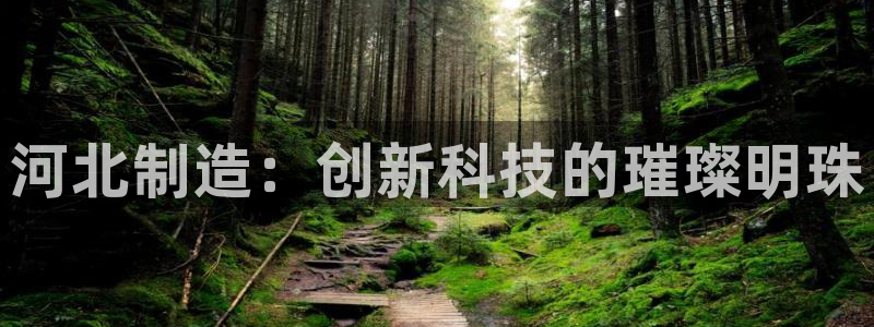 恒行娱乐寻问74 5：河北制造：创新科技的璀璨明珠