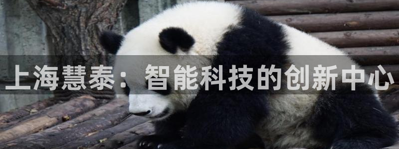 恒行登录老大6ll5l典型：上海慧泰：智能科技的创新中心