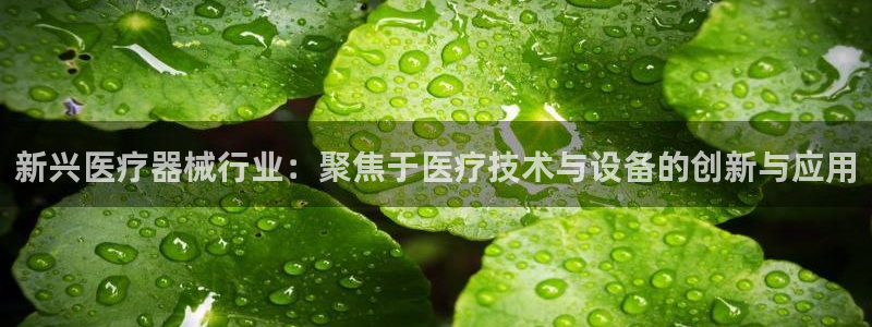 恒行2那74OOO5