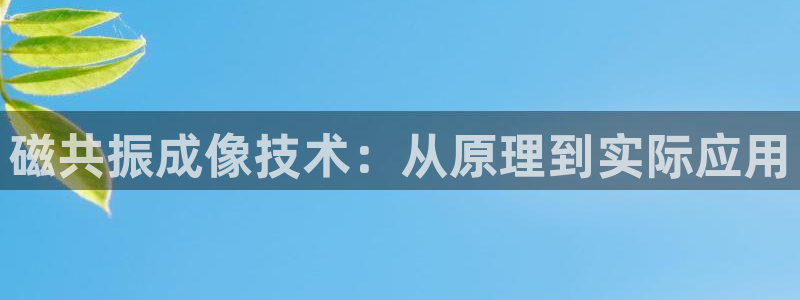 恒行娱乐热74ooo5主宰：磁共振成像技术：从原理到实际应用