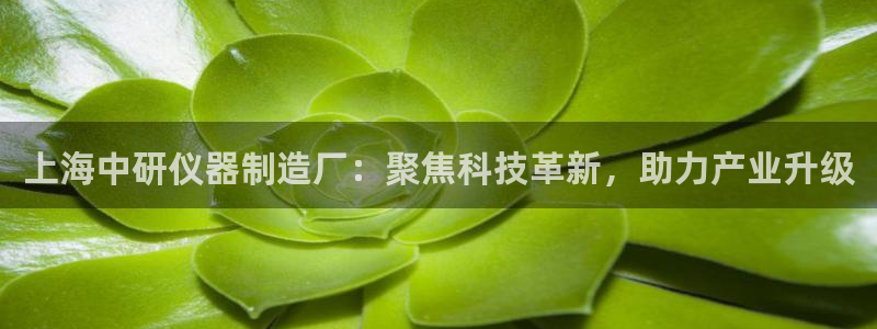 恒行娱乐登录5ll533主管一流：上海中研仪器制造厂：聚焦科