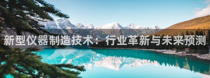 恒行娱乐吴74OOO5：新型仪器制造技术：行业革新与未来预测